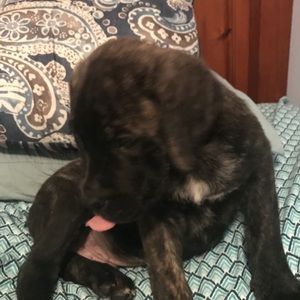 Meet your Posher, Jessica